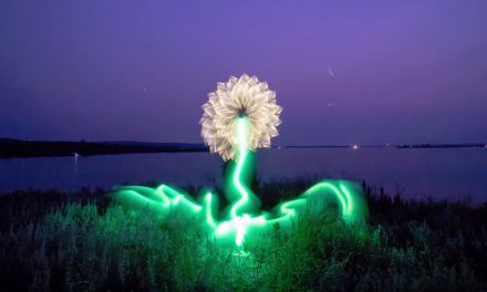 Light Painting Tutorial – How to light paint a flower