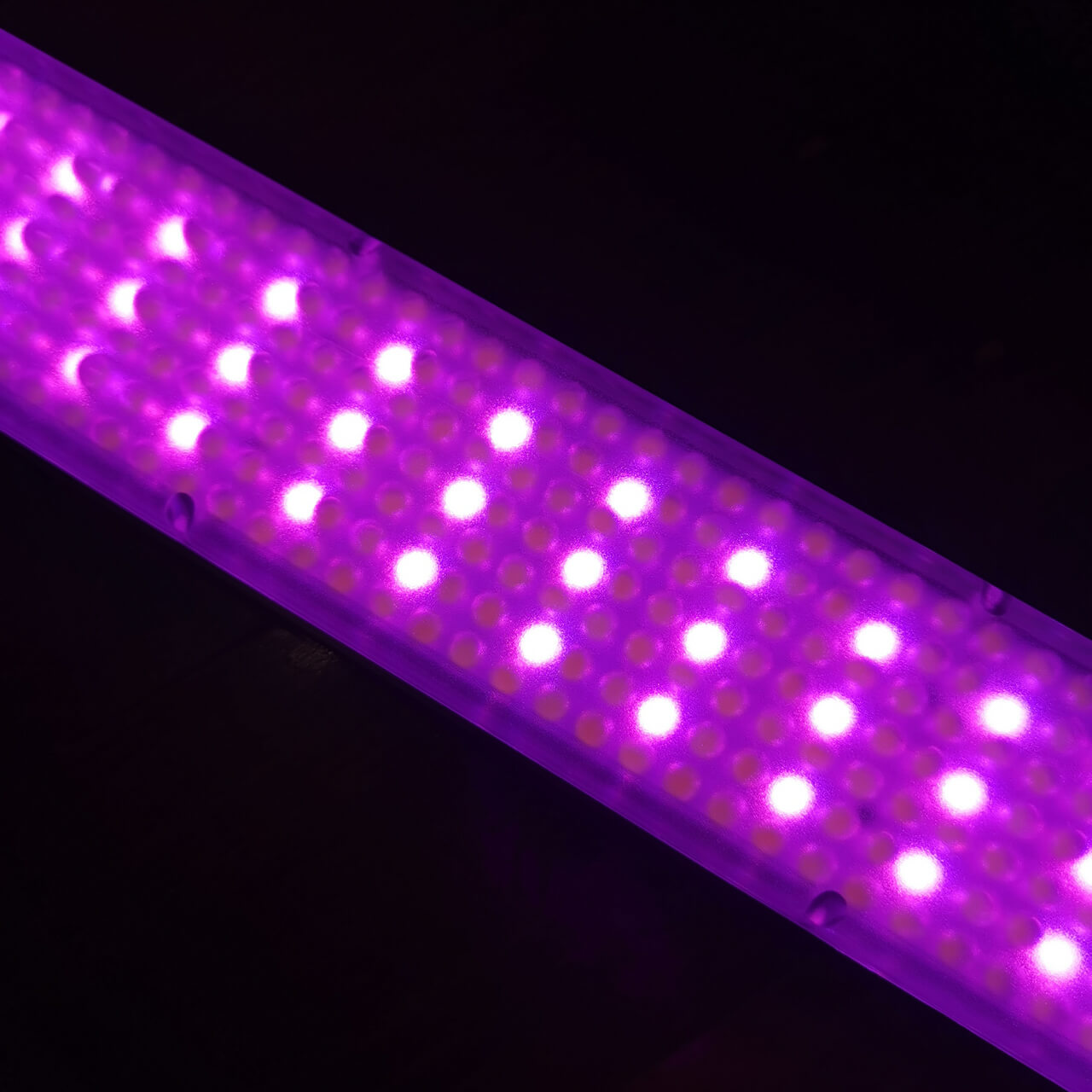 YN360iii RGB LEDs